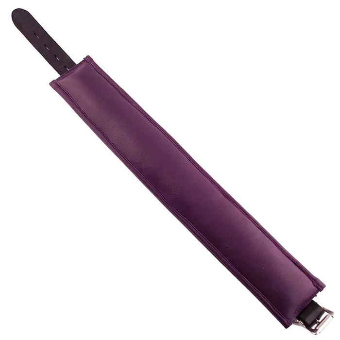 Vibrators Rouge Garments Rouge Garments Black And Purple Padded Leather BDSM Collar